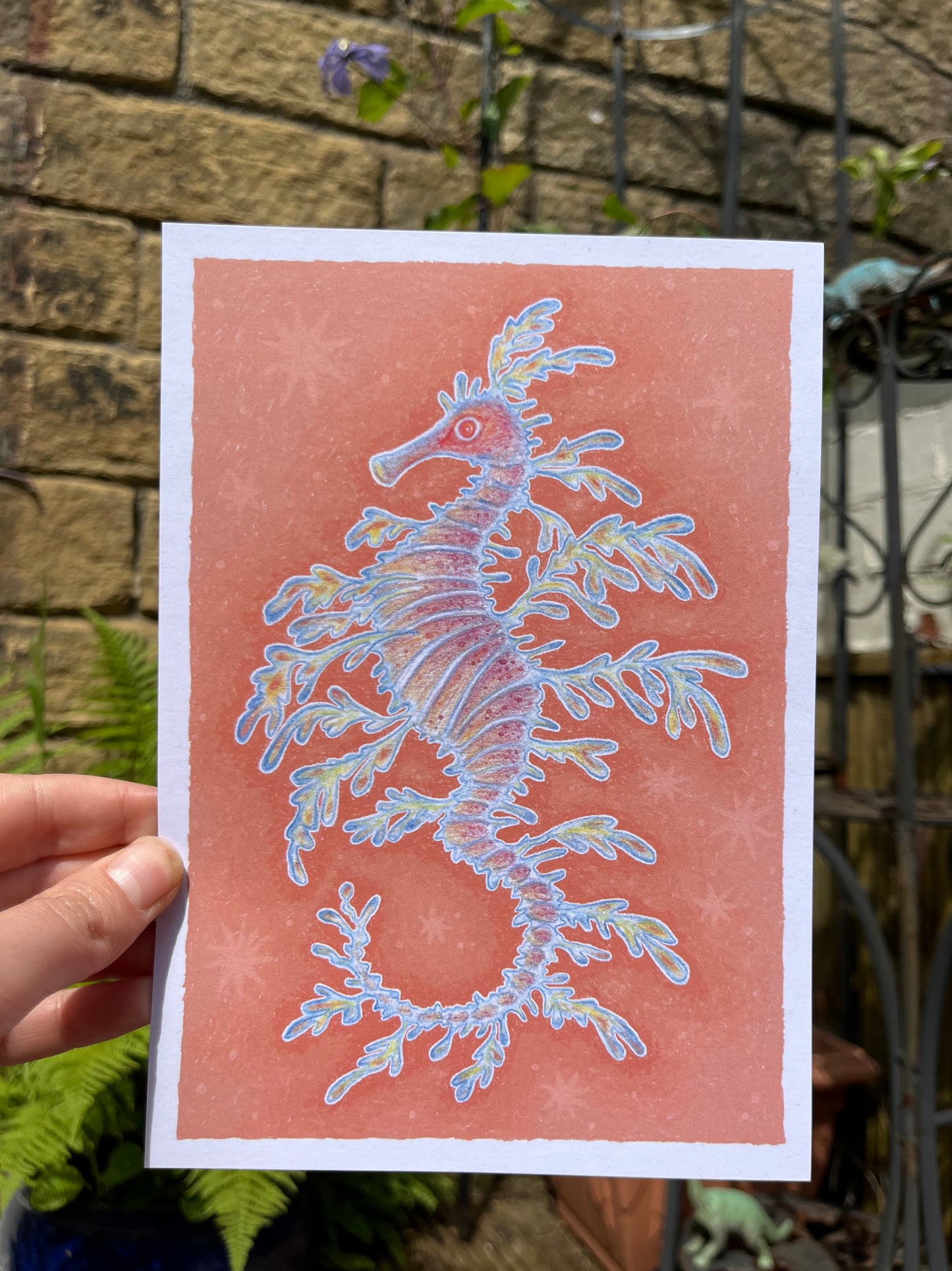 Leafy Sea Dragon A5 Print
