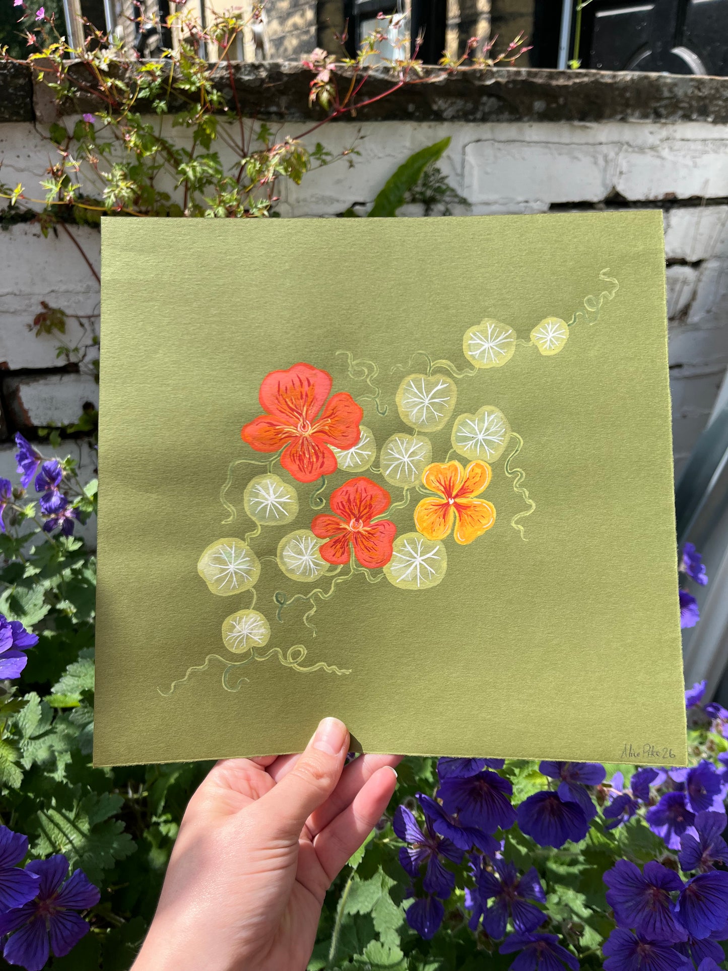 Original Nasturtiums painting