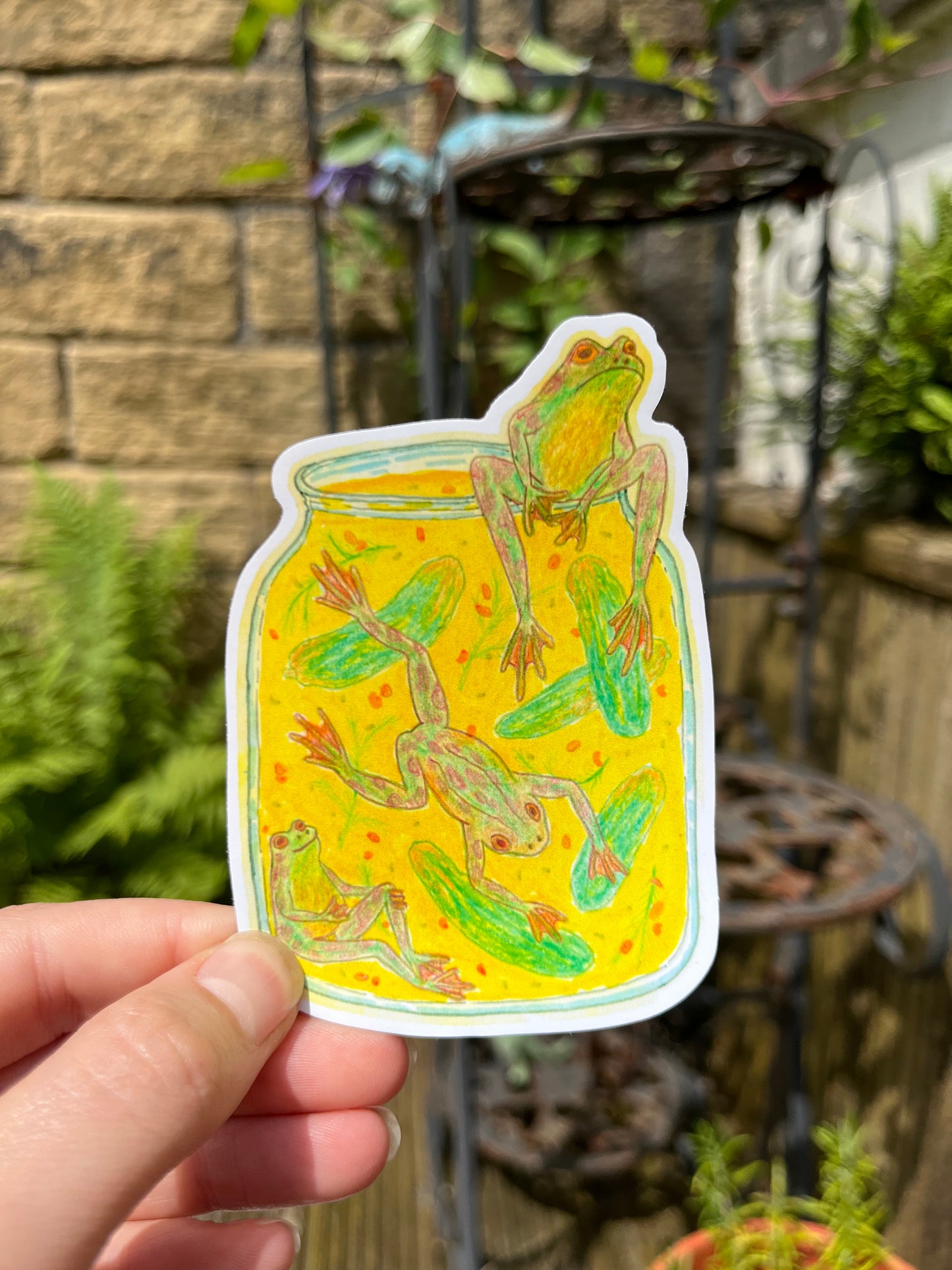 Pickled Frogs Sticker