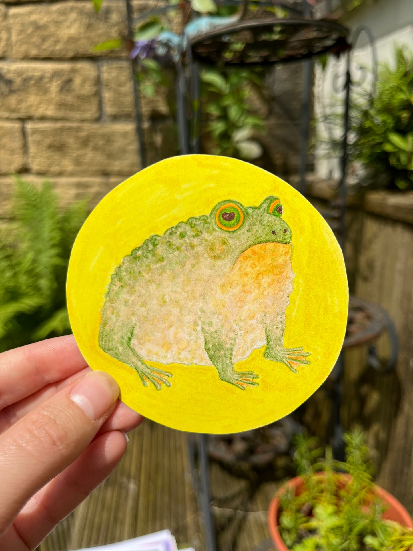Toad Sticker