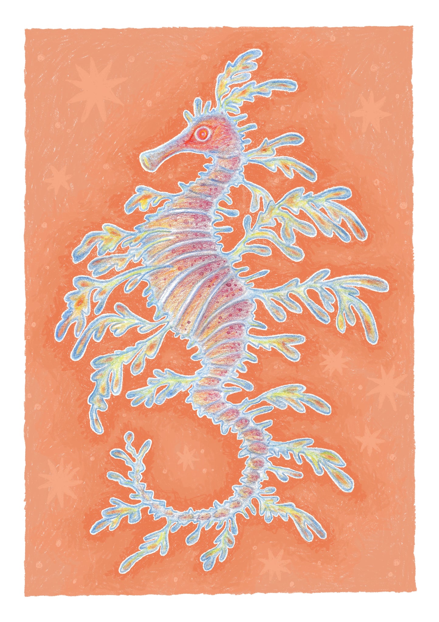 Leafy Sea Dragon A5 Print