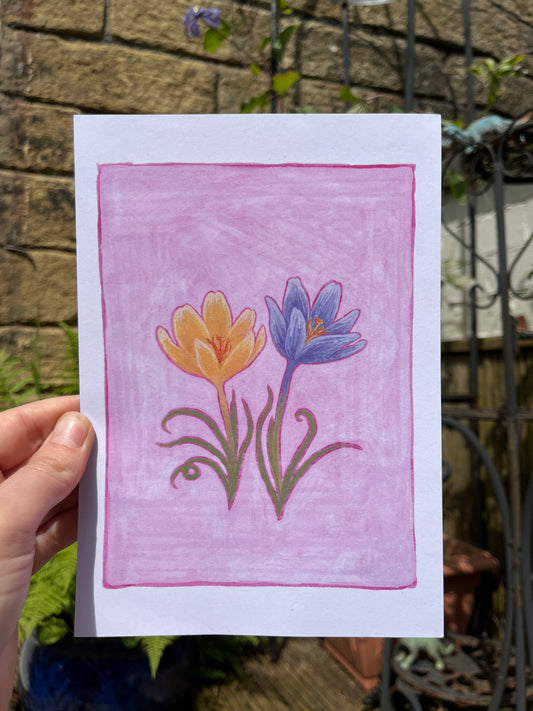 Crocus A5 Print