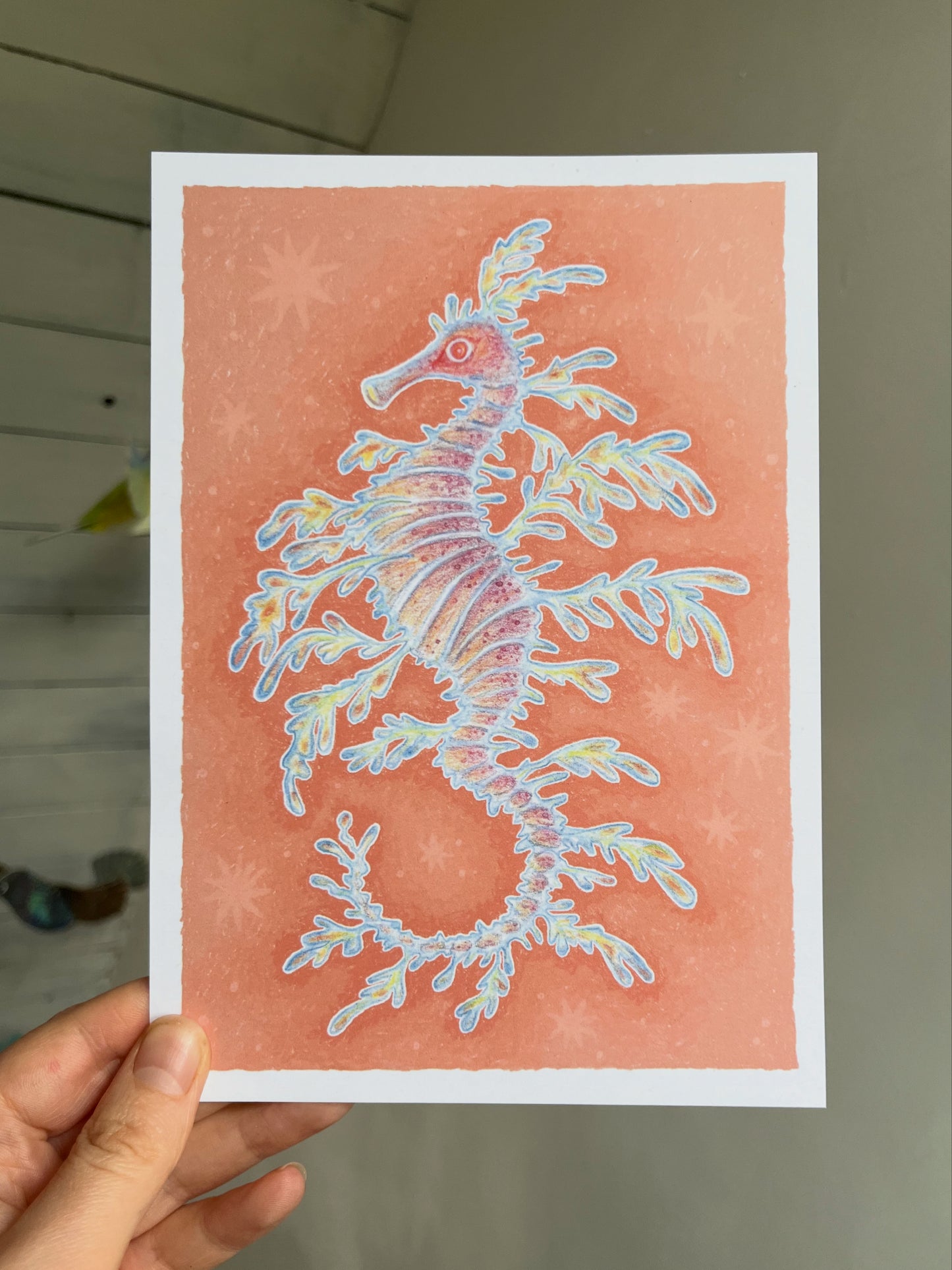 Leafy Seadragon A5 Print
