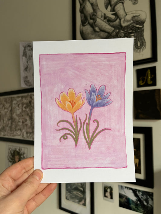 Crocus A5 Print