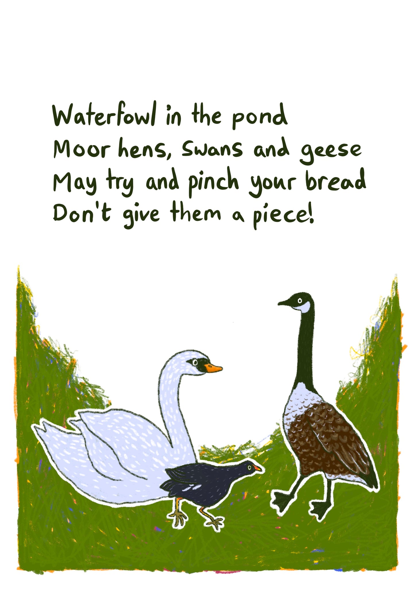 Duck Dinners Zine