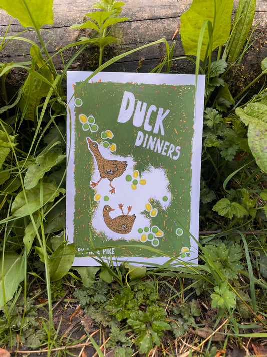 Duck Dinners Zine
